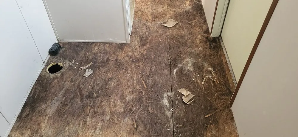 Professional garden landscaping for outdoor upgrades in Diboll, TX by Ernesto Guzman Handyman Services