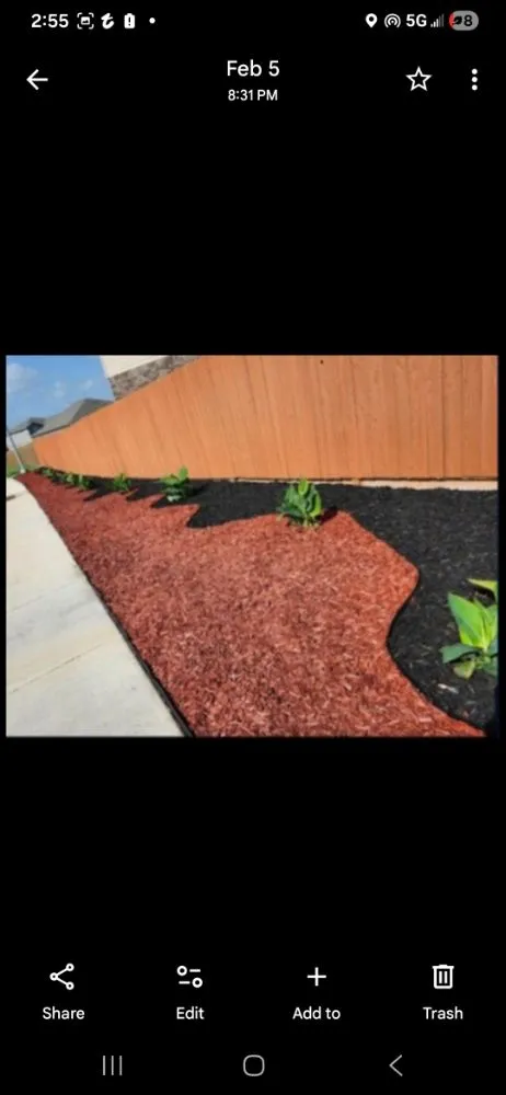 Top-rated garden landscaping for year-round maintenance across San Antonio, TX - Ernesto Landscaping