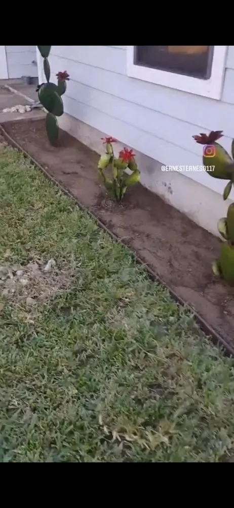 Expert outdoor landscaping for homes across San Antonio, TX - Ernesto Landscaping