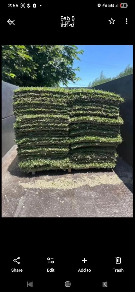 Custom yard cleanup service for beautiful yards across San Antonio, TX - Ernesto Landscaping