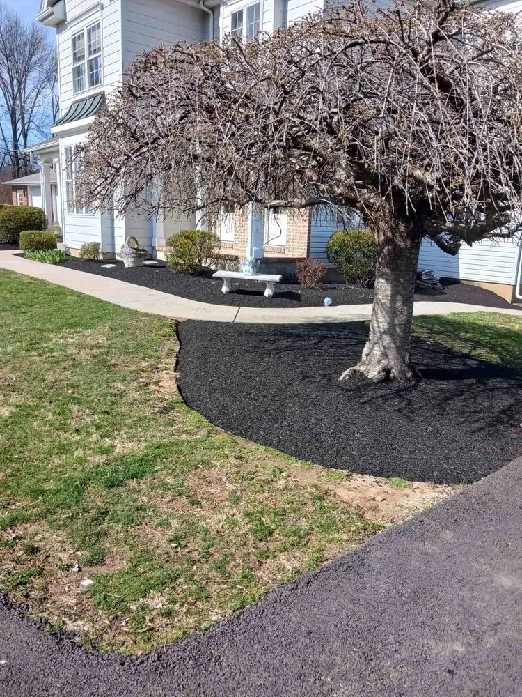 Affordable yard cleanup service for residential properties across Chester, PA - Ernesto Property Maintenance