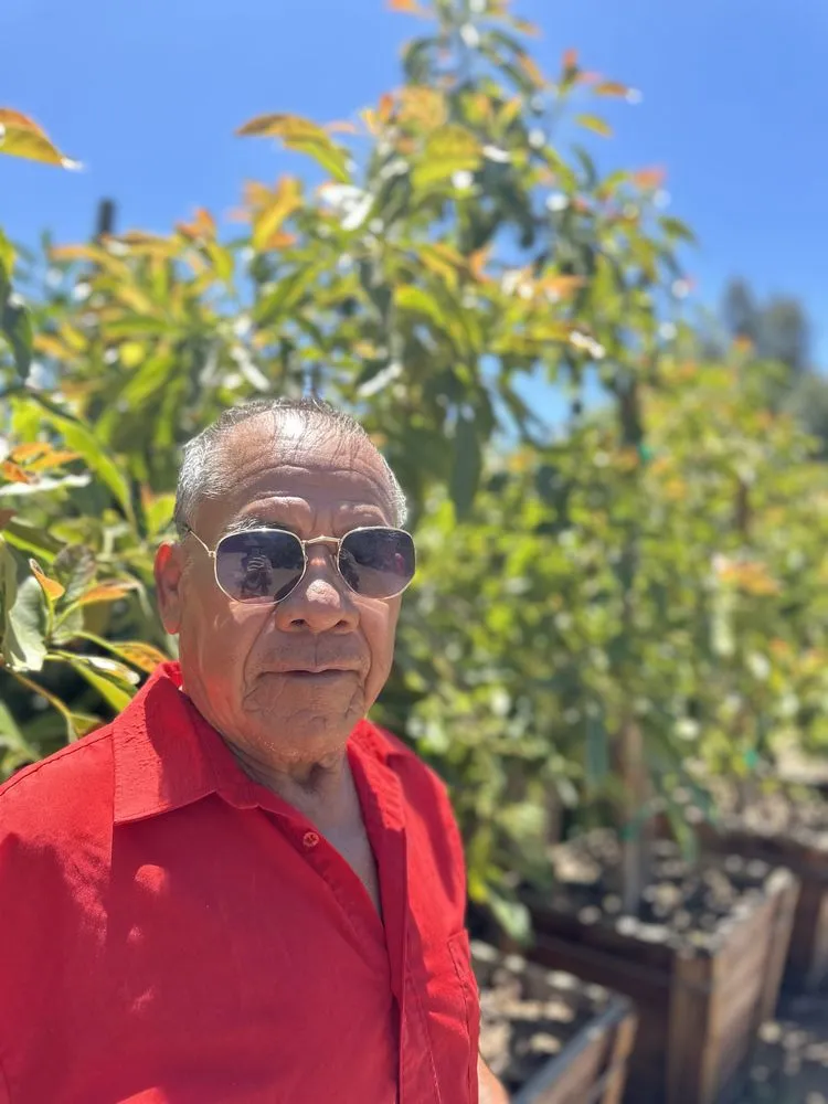 Custom yard cleanup service in El Cajon, CA by Ernesto Romero’s Nursery