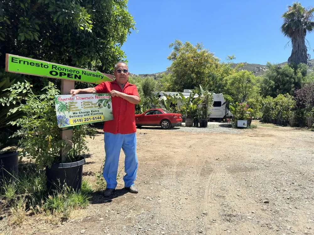 Expert landscaping services in El Cajon, CA by Ernesto Romero’s Nursery