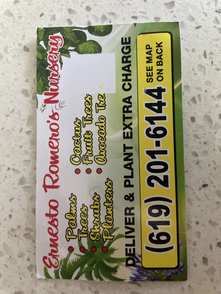 Reliable outdoor landscaping in El Cajon, CA by Ernesto Romero’s Nursery