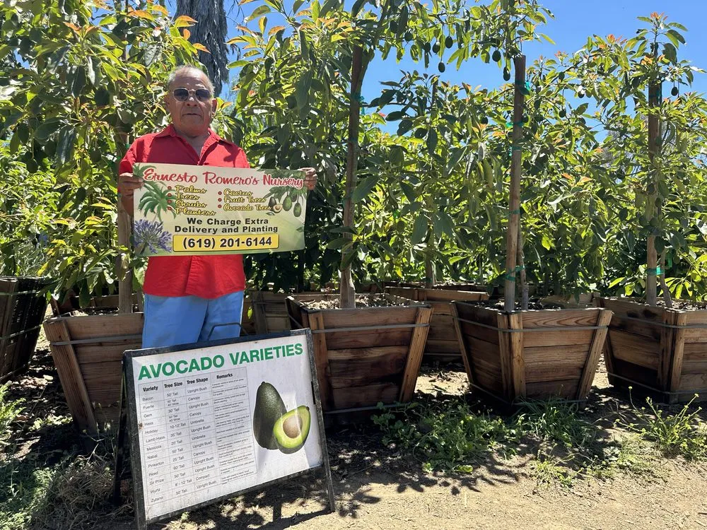 Professional outdoor landscaping for outdoor upgrades across El Cajon, CA - Ernesto Romero’s Nursery