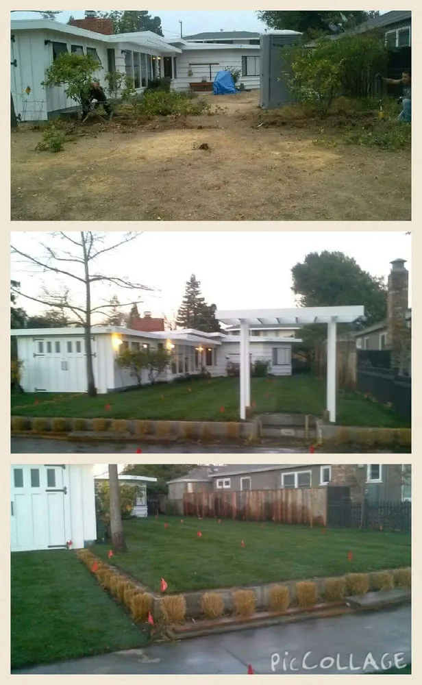 Expert garden landscaping in Palo Alto, CA - Ernesto's Gardens Beautiful & Sustainable