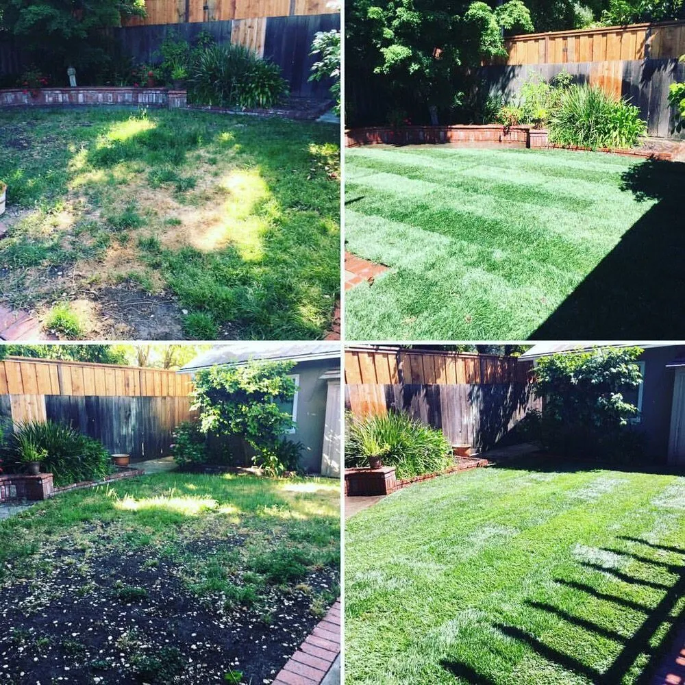 Top-rated yard cleanup service for outdoor upgrades across Palo Alto, CA - Ernesto's Gardens Beautiful & Sustainable