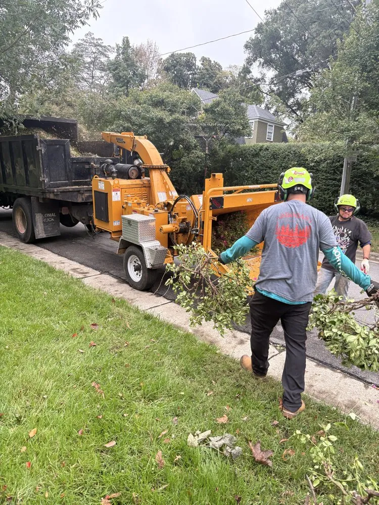 Expert lawn care service for homes in Henrico, VA by Ernesto’s Landscaping & Tree Service