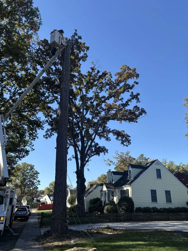 Top-rated yard maintenance experts serving Henrico, VA - Ernesto’s Landscaping & Tree Service