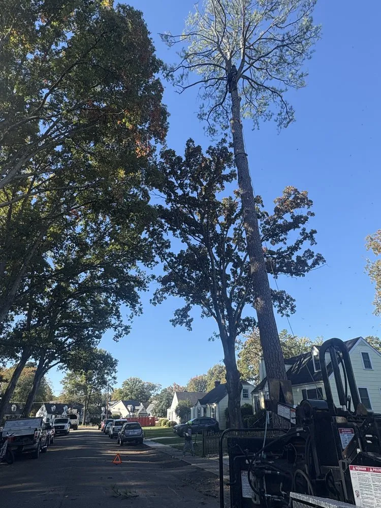 Affordable lawn mowing service for residential properties in Henrico, VA by Ernesto’s Landscaping & Tree Service