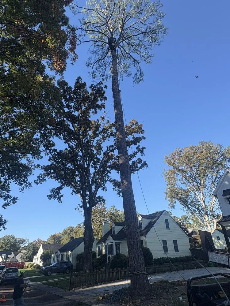 Custom residential landscaping for beautiful yards across Henrico, VA - Ernesto’s Landscaping & Tree Service