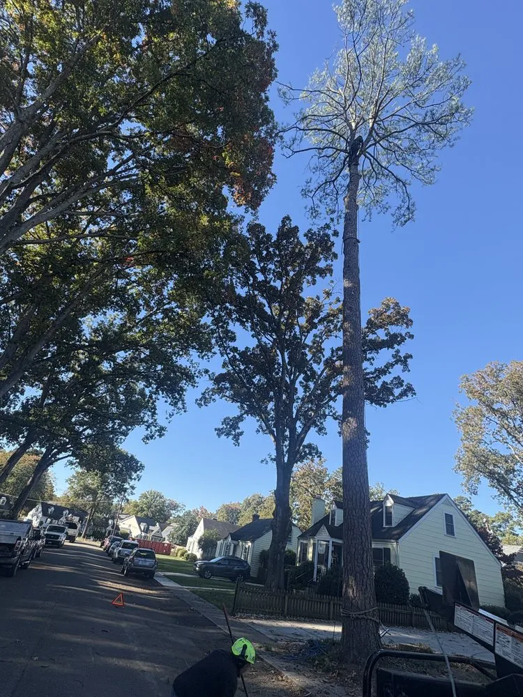 Local residential landscaping for outdoor upgrades across Henrico, VA - Ernesto’s Landscaping & Tree Service