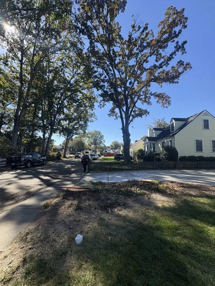 Trusted lawn mowing service in Henrico, VA - Ernesto’s Landscaping & Tree Service