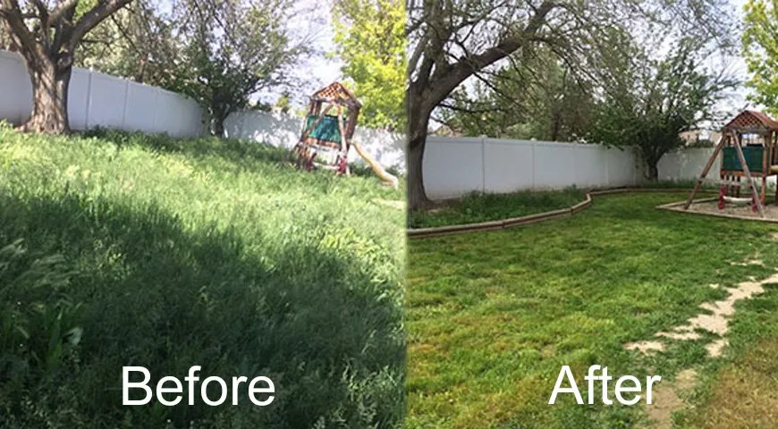 Top-rated lawn care service in Henrico, VA by Ernesto’s Landscaping & Tree Service