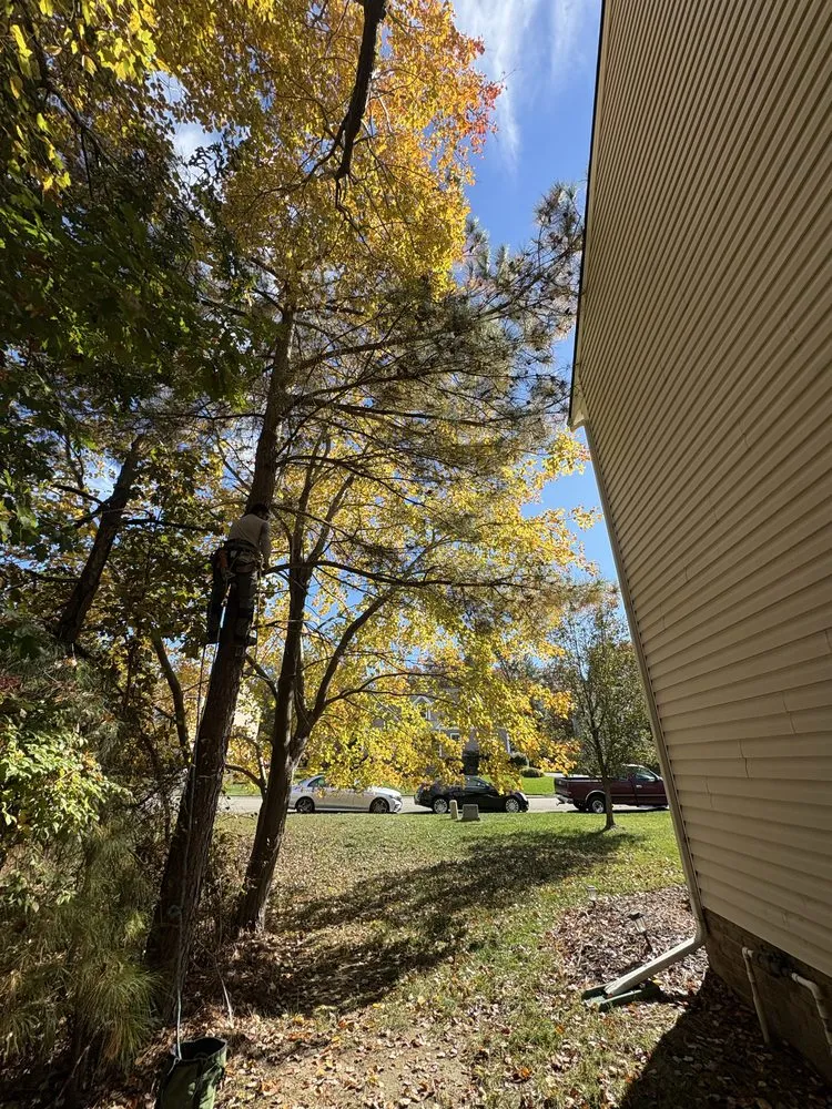 Top-rated outdoor landscaping in Henrico, VA - Ernesto’s Landscaping & Tree Service