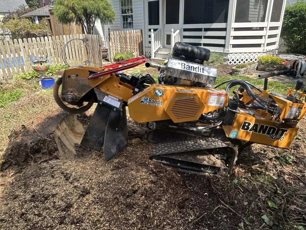 Affordable landscaping services for homes across Henrico, VA - Ernesto’s Landscaping & Tree Service