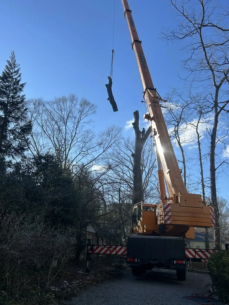 Local outdoor landscaping with custom design across Henrico, VA - Ernesto’s Landscaping & Tree Service