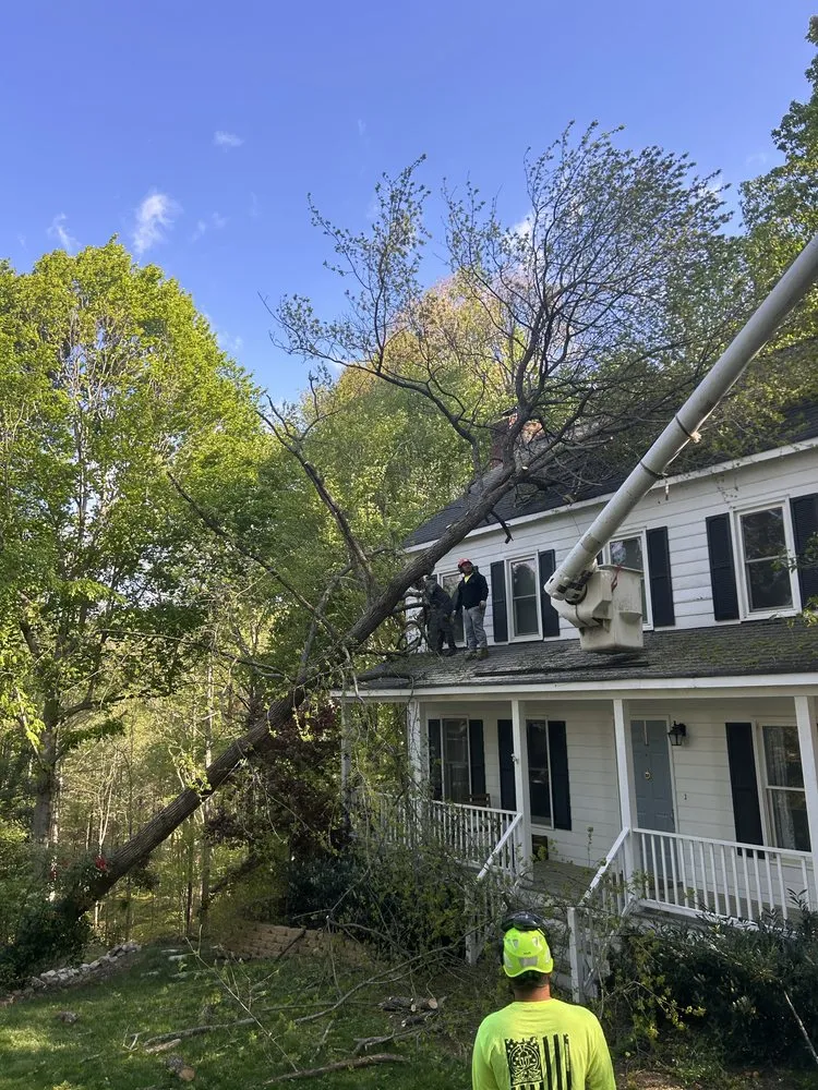 Trusted residential landscaping with custom design across Henrico, VA - Ernesto’s Landscaping & Tree Service