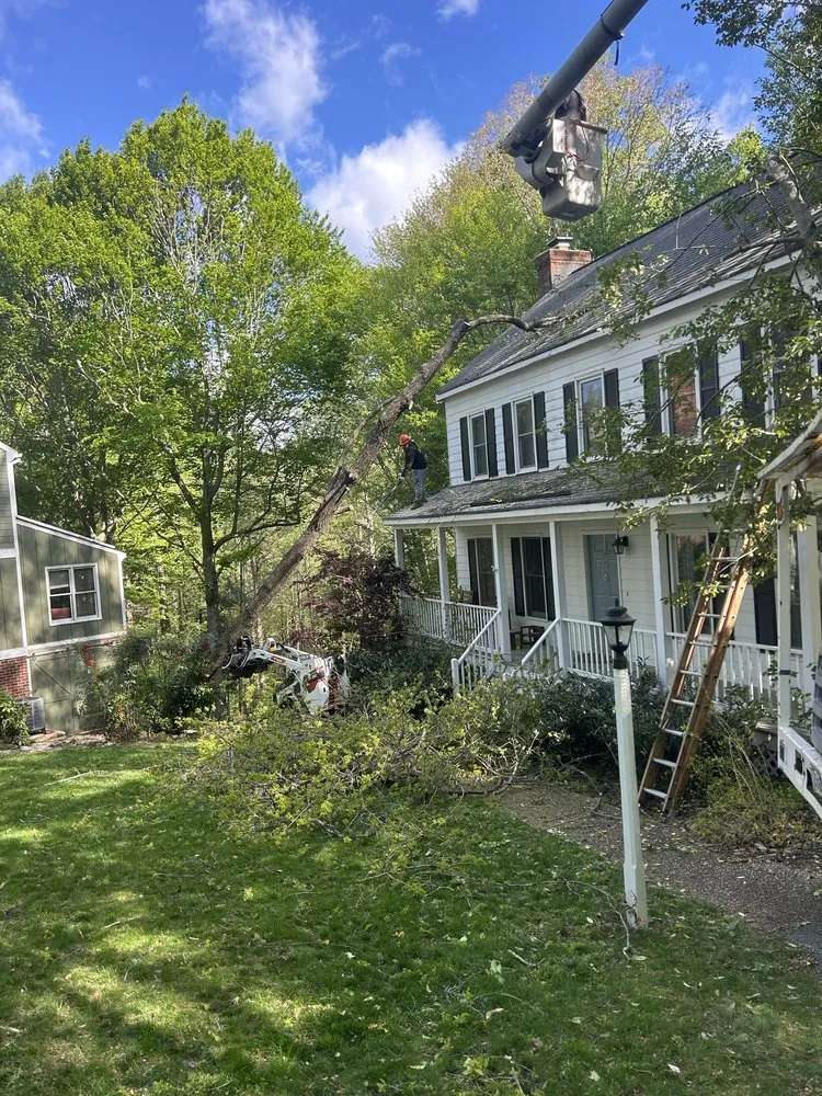 Expert residential landscaping experts serving Henrico, VA - Ernesto’s Landscaping & Tree Service