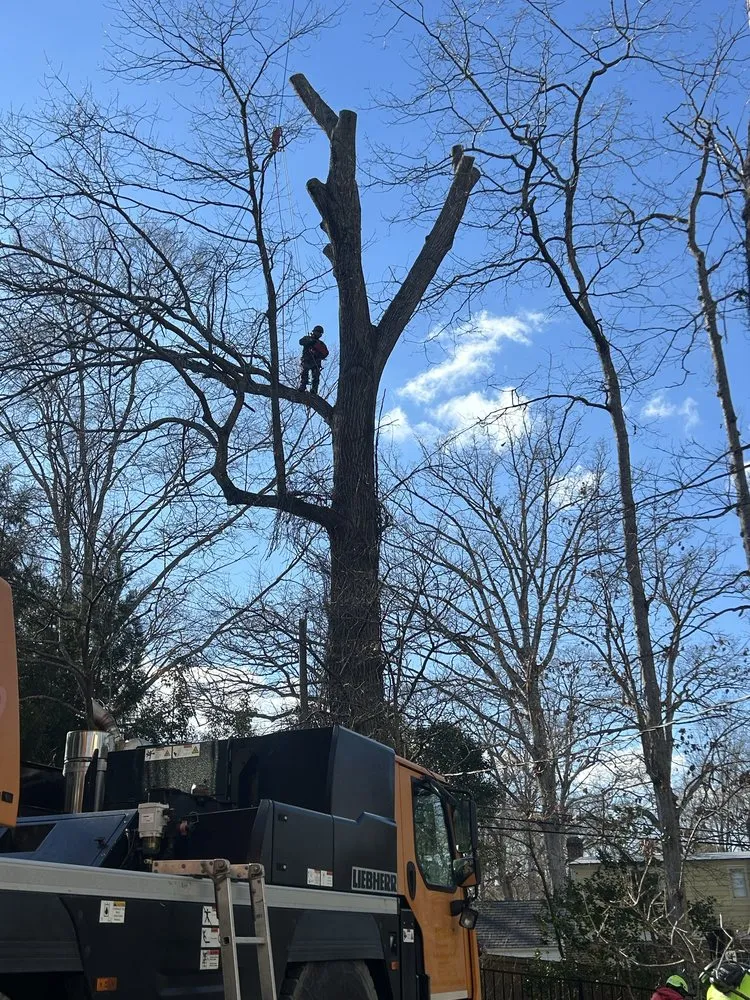 Custom lawn mowing service in Henrico, VA by Ernesto’s Landscaping & Tree Service