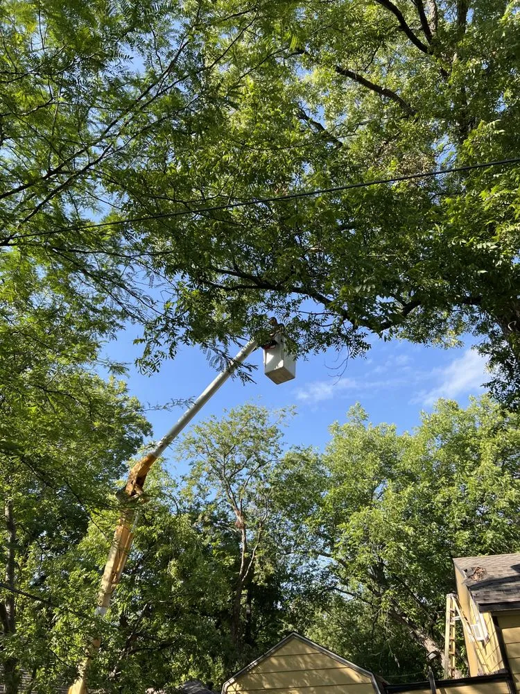 Affordable lawn mowing service in Dallas, TX - Ernestos Landscaping And Irrigation