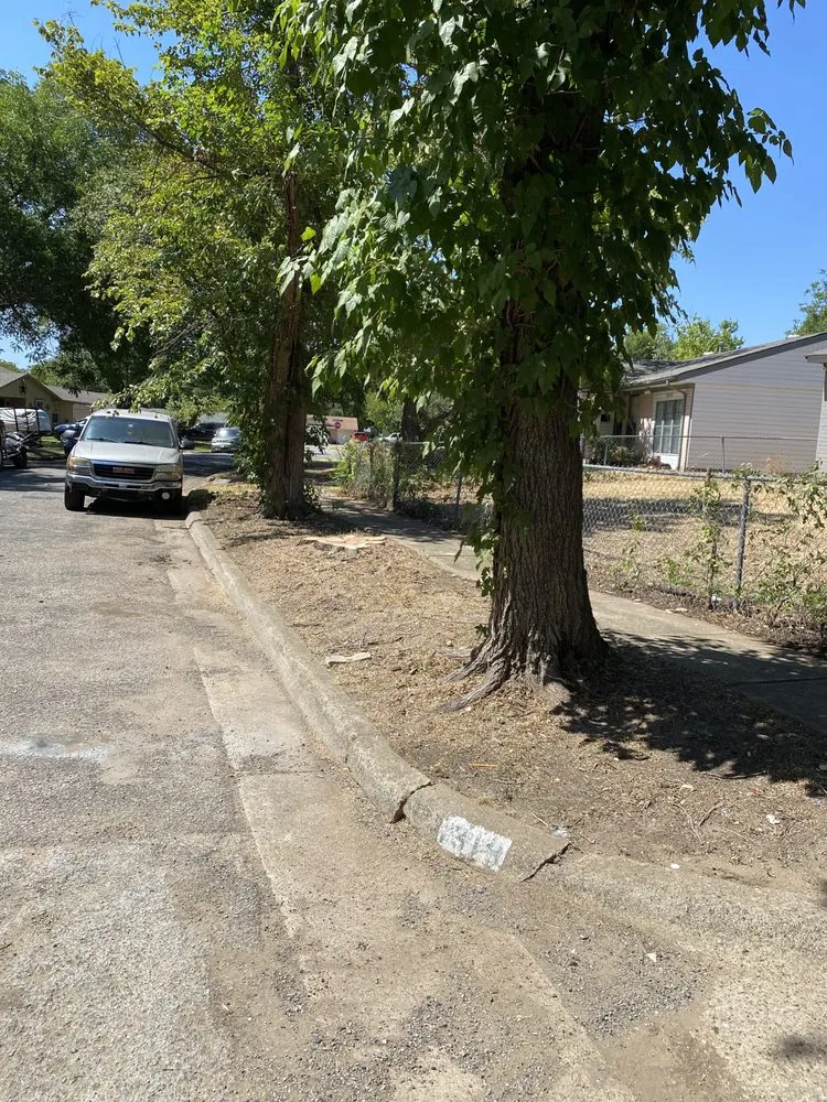 Custom landscape design for beautiful yards across Dallas, TX - Ernestos Landscaping And Irrigation