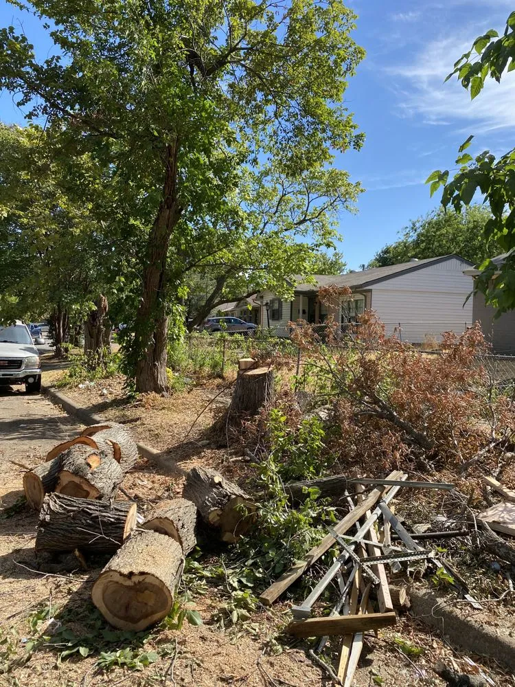 Local landscaping services near you in Dallas, TX by Ernestos Landscaping And Irrigation