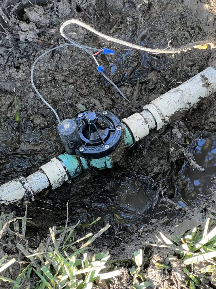 Reliable lawn mowing service experts serving Dallas, TX - Ernestos Landscaping And Irrigation