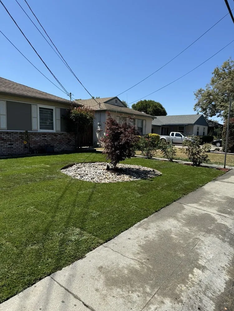 Expert landscape installation in San Lorenzo, CA - Ernesto's Landscaping