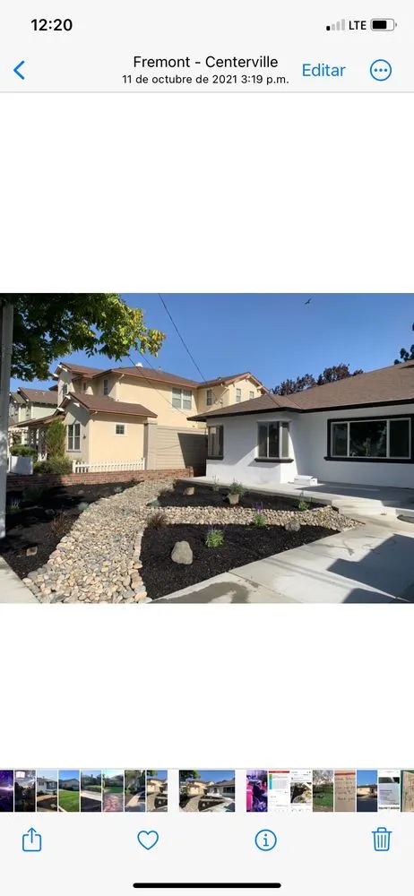 Reliable yard maintenance in San Lorenzo, CA - Ernesto's Landscaping