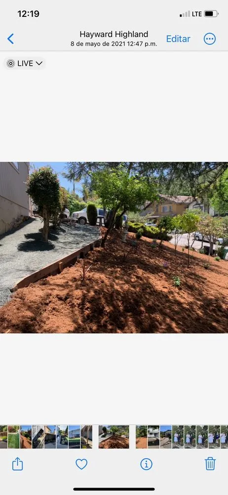 Affordable residential landscaping experts serving San Lorenzo, CA - Ernesto's Landscaping