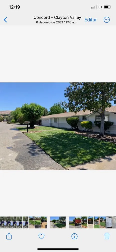 Trusted outdoor landscaping with custom design in San Lorenzo, CA by Ernesto's Landscaping