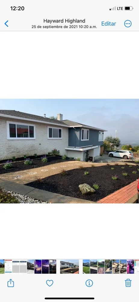 Reliable yard maintenance in San Lorenzo, CA - Ernesto's Landscaping