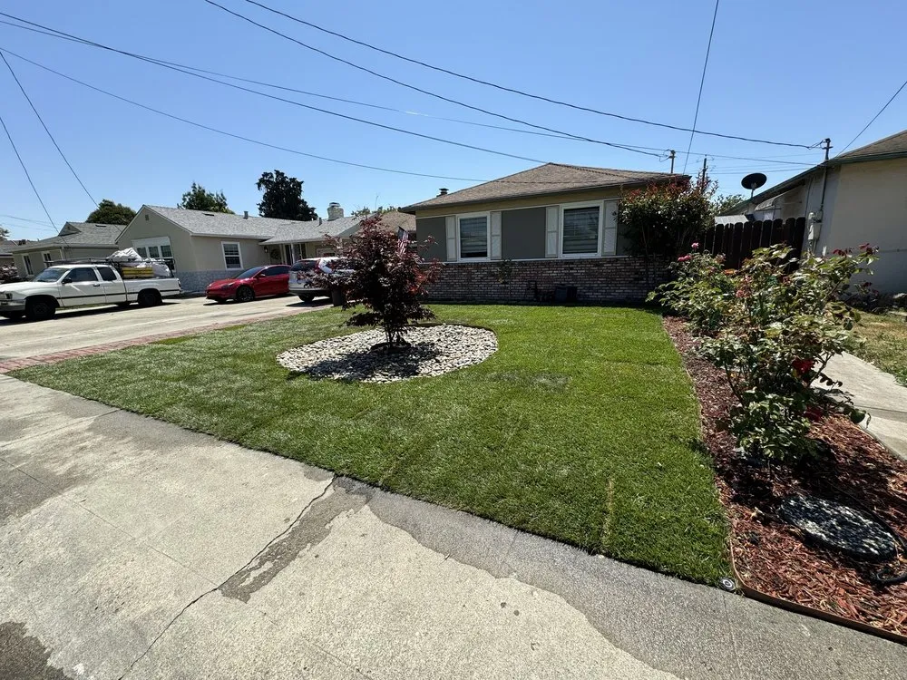 Affordable residential landscaping in San Lorenzo, CA by Ernesto's Landscaping