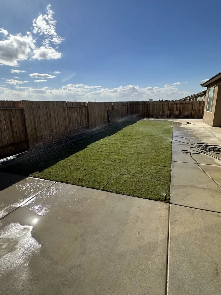 Affordable yard cleanup service experts serving Bakersfield, CA - Ernesto’s Landscaping Service