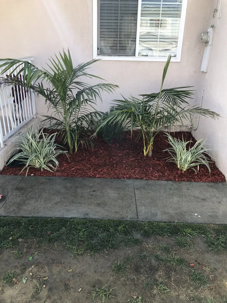 Affordable outdoor landscaping in Torrance, CA - Ernesto's Lawn Service