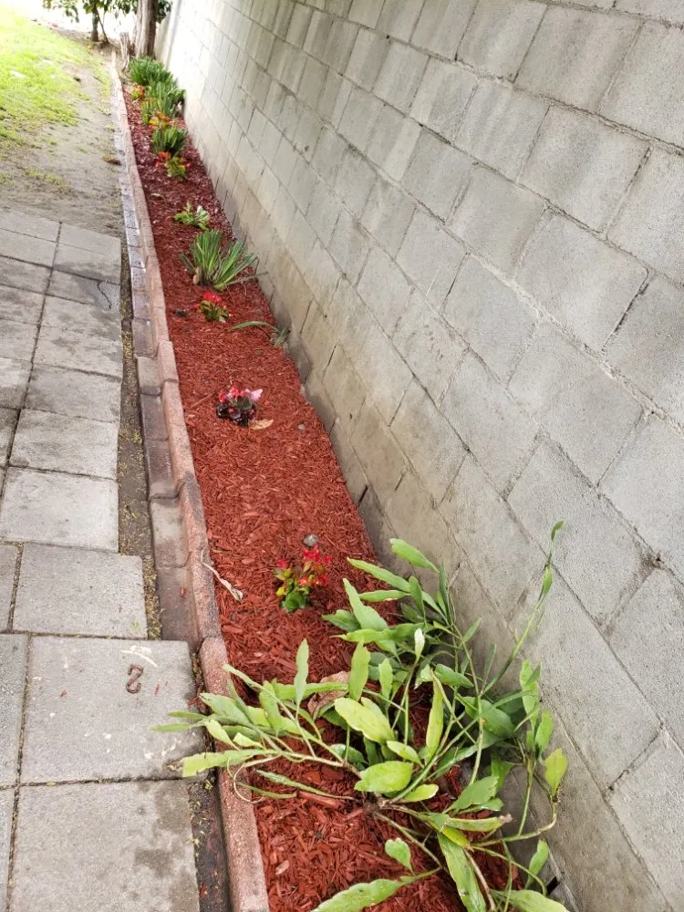 Professional lawn care service in Torrance, CA - Ernesto's Lawn Service