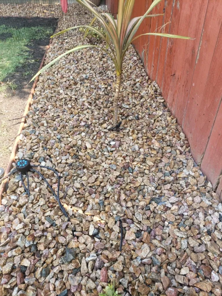 Expert landscaping services with custom design across Torrance, CA - Ernesto's Lawn Service