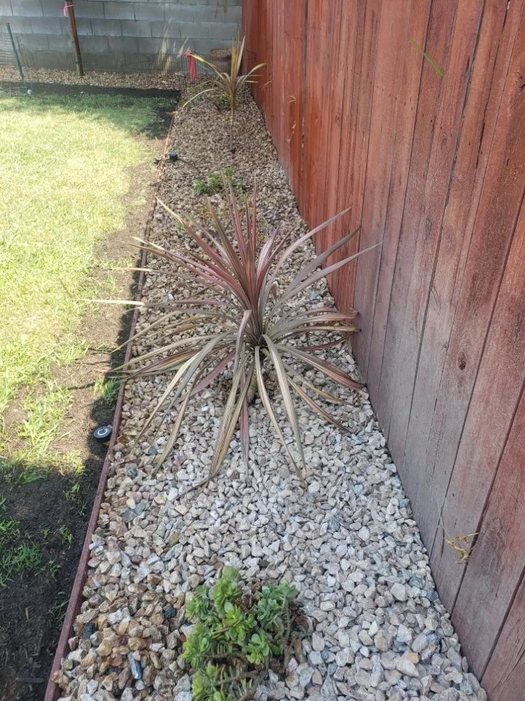 Trusted outdoor landscaping near you in Torrance, CA by Ernesto's Lawn Service