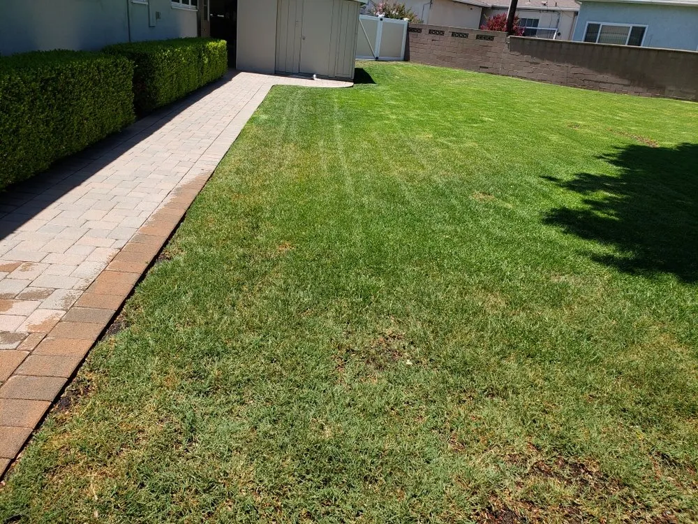 Reliable yard cleanup service experts serving Torrance, CA - Ernesto's Lawn Service