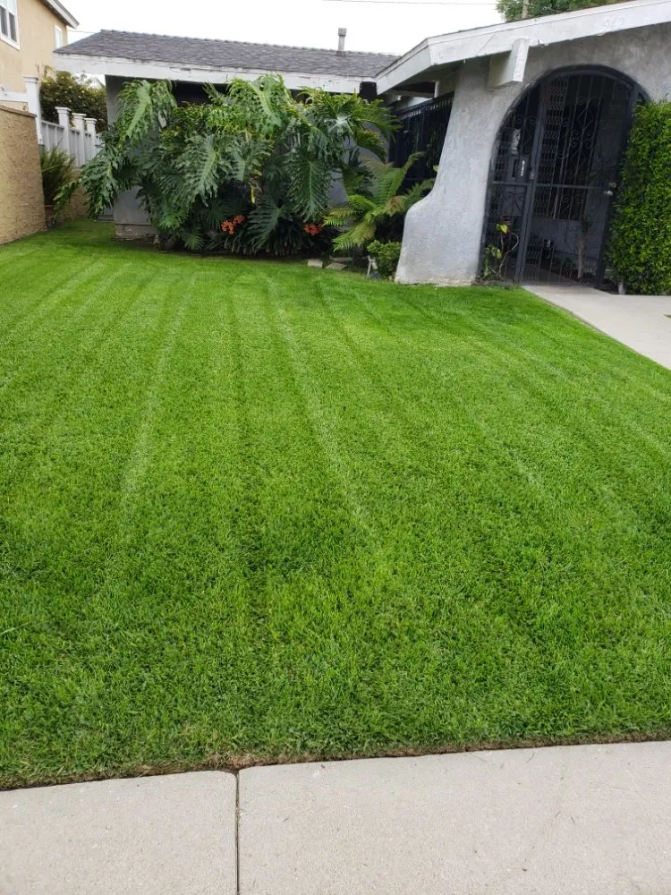 Reliable yard maintenance for outdoor upgrades across Torrance, CA - Ernesto's Lawn Service