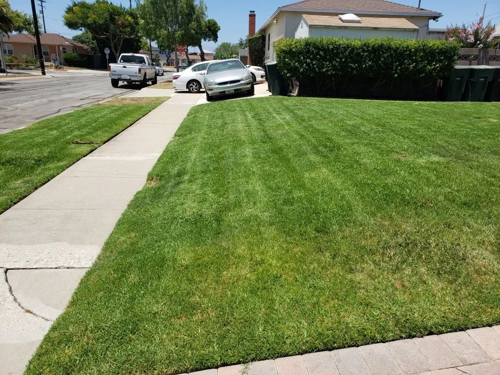 Trusted landscape design in Torrance, CA - Ernesto's Lawn Service