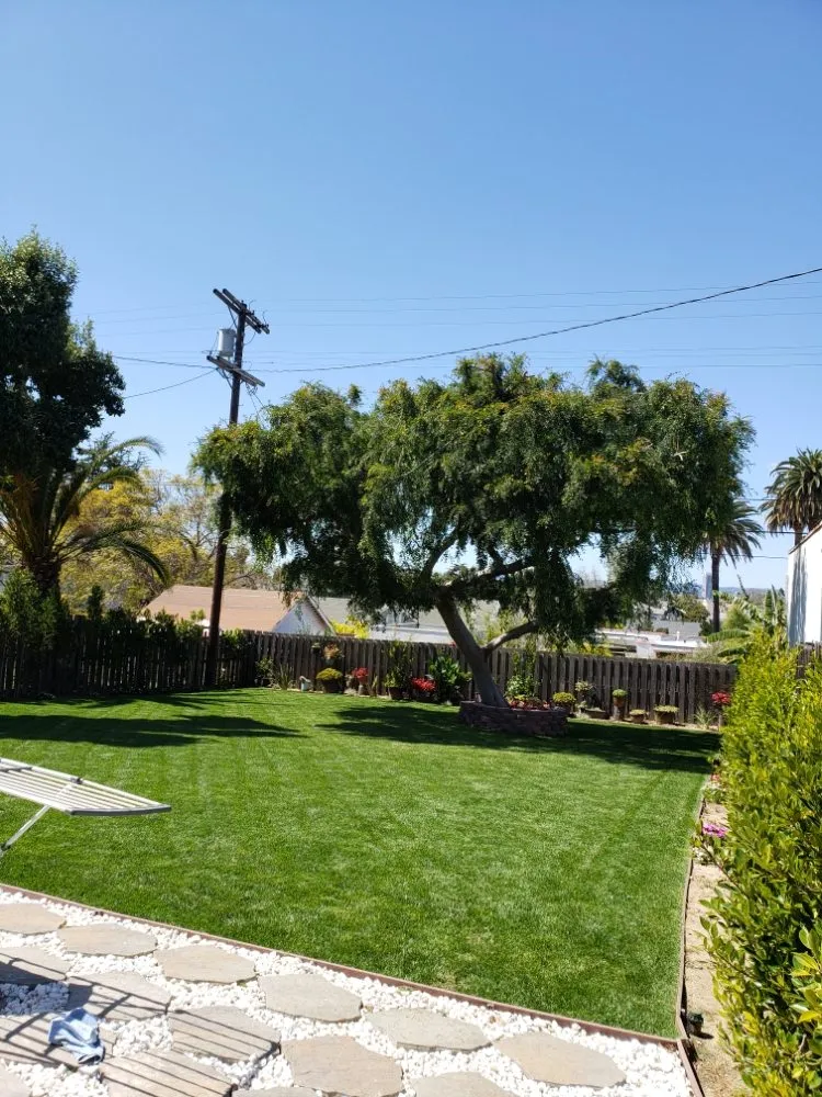 Professional yard cleanup service for residential properties across Torrance, CA - Ernesto's Lawn Service