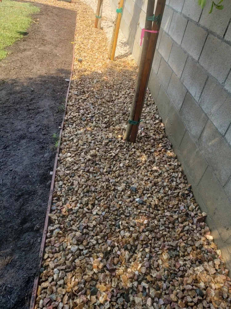 Local residential landscaping in Torrance, CA by Ernesto's Lawn Service