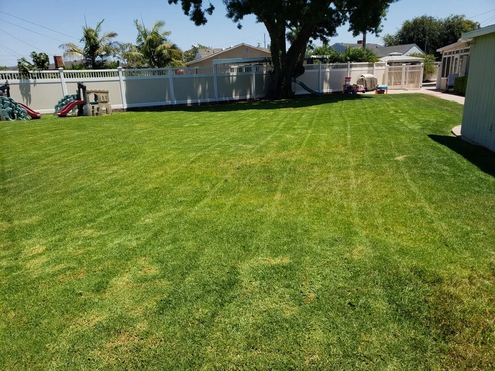 Reliable landscape installation near you across Torrance, CA - Ernesto's Lawn Service