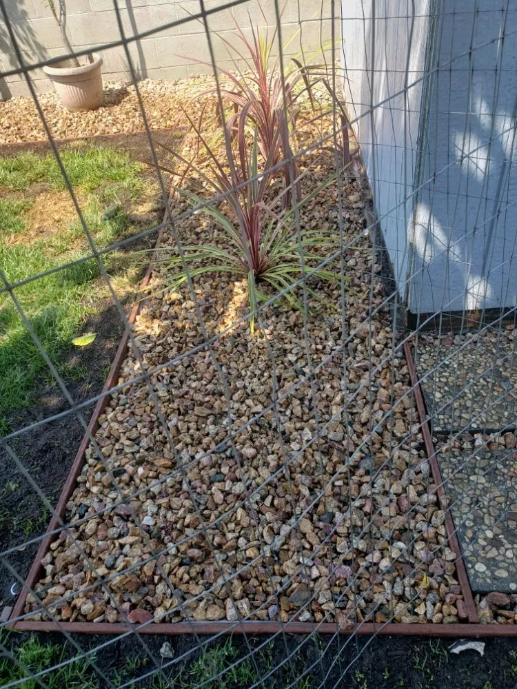 Affordable landscape installation for homes across Torrance, CA - Ernesto's Lawn Service