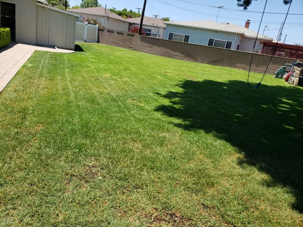 Reliable residential landscaping near you across Torrance, CA - Ernesto's Lawn Service