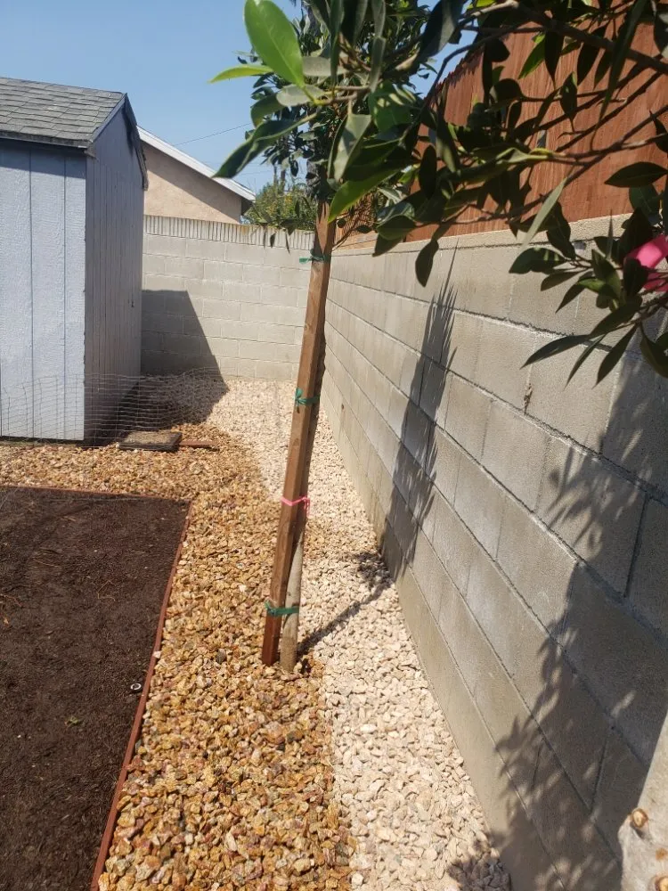 Custom lawn care service near you across Torrance, CA - Ernesto's Lawn Service