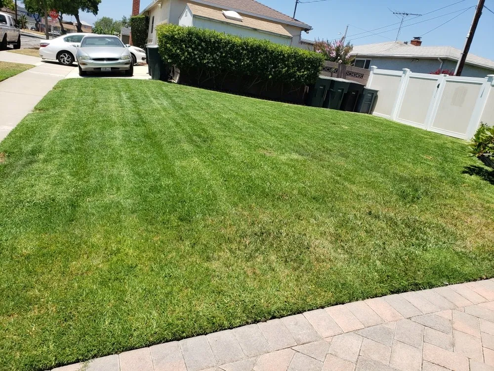 Top-rated outdoor landscaping in Torrance, CA by Ernesto's Lawn Service