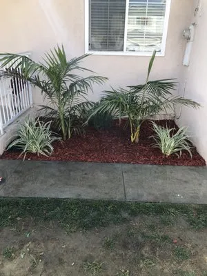 Ernesto's Lawn Service Logo